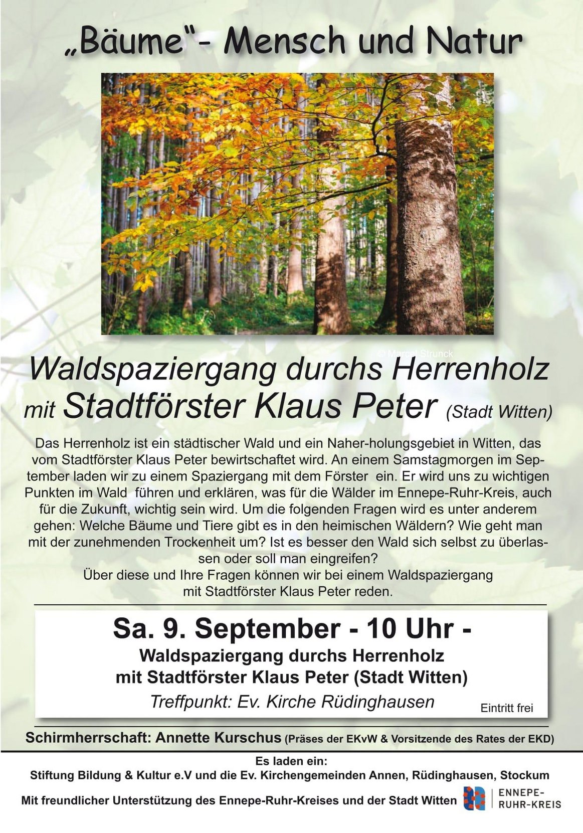 Waldspaziergang.jpeg
